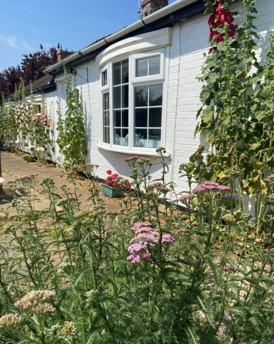 Field Cottage Whittlesey المظهر الخارجي الصورة